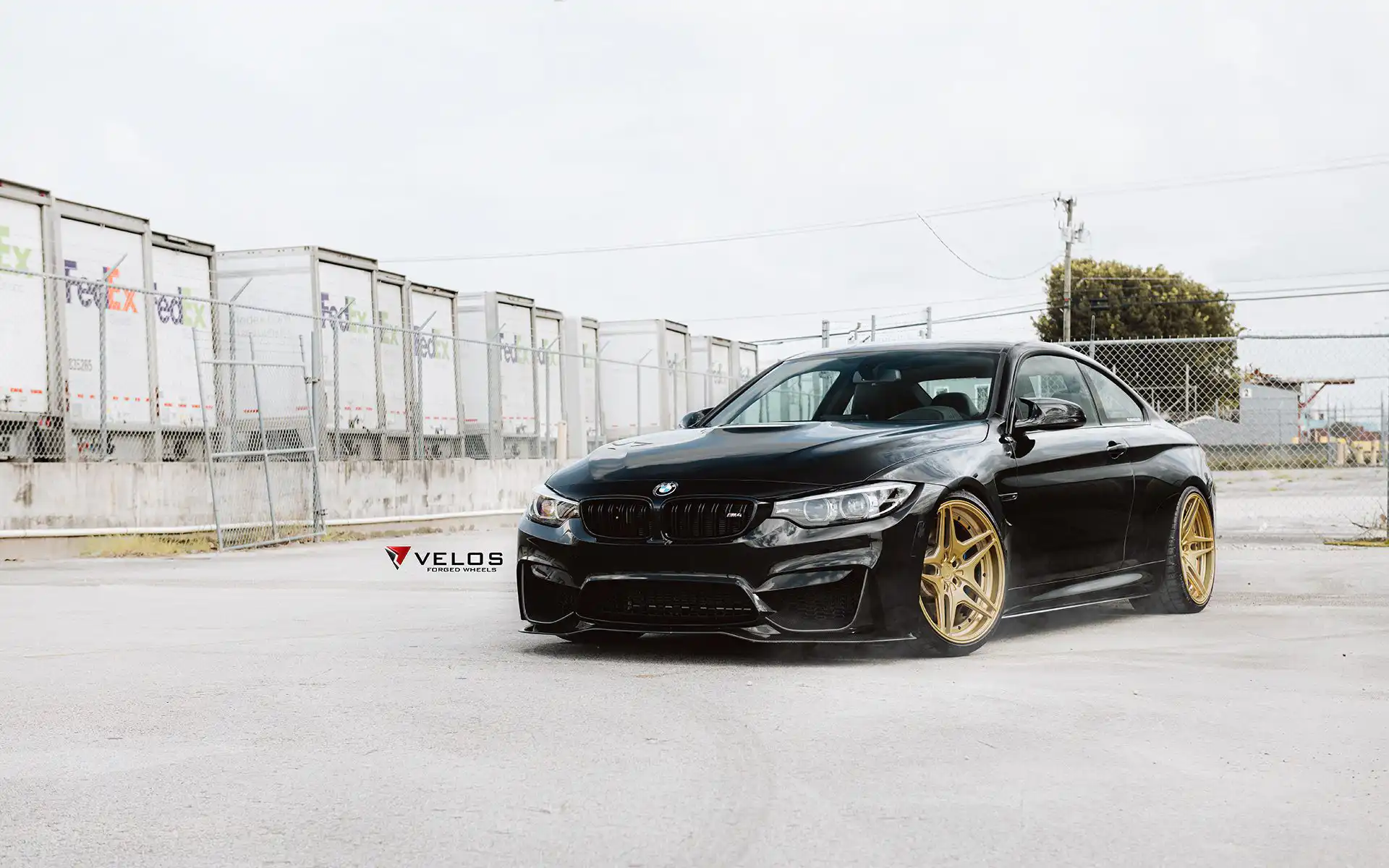 Black Sapphire Metallic BMW M4 On Gold Velos Designwerks Wheels Wallpaper