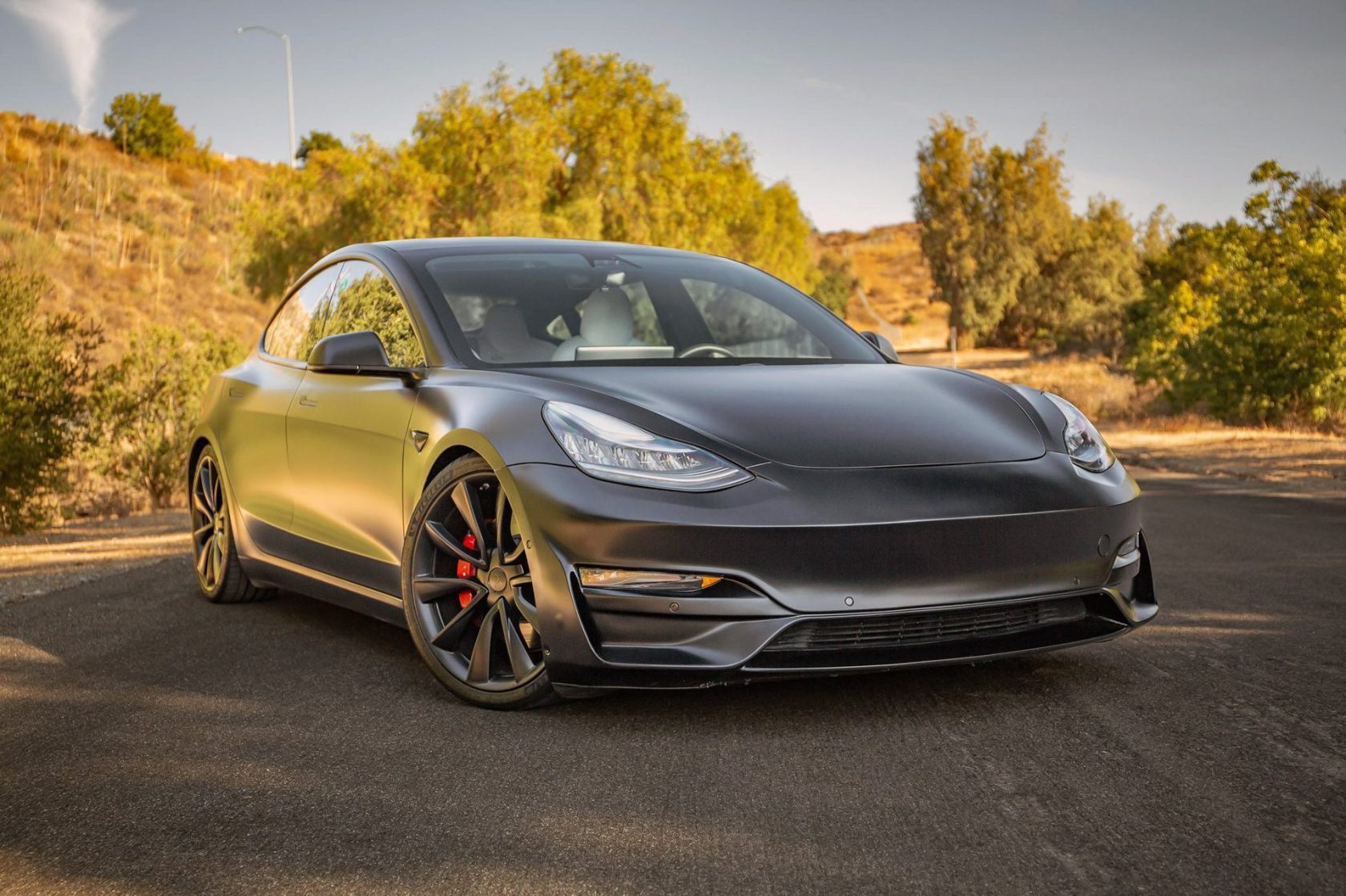 2020 Stealth Black Model 3 Performance Aftermarket Build
