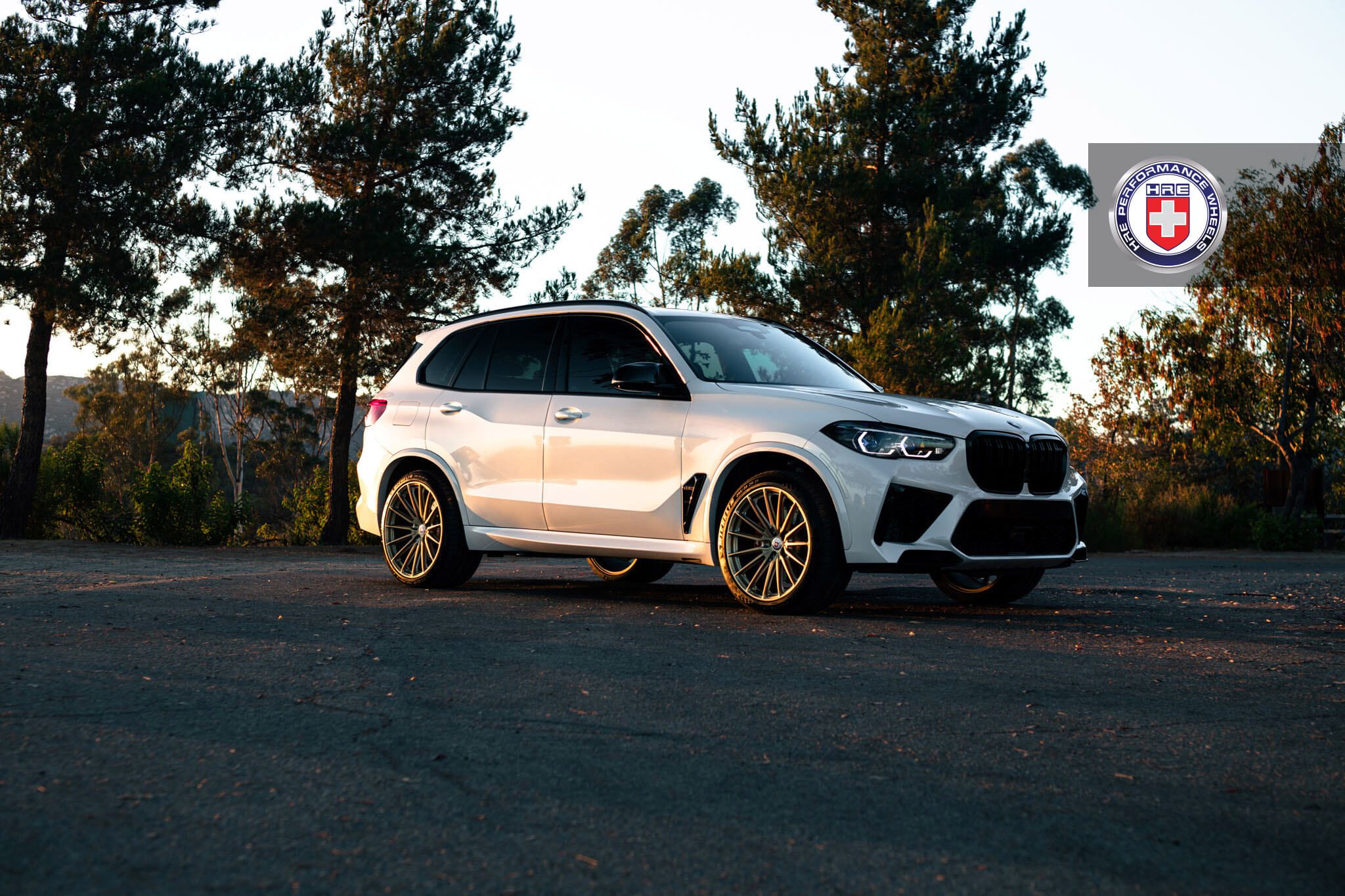 Alpine White BMW X5 M Competition with HRE P103SC Wheels in Frozen Polished Gold